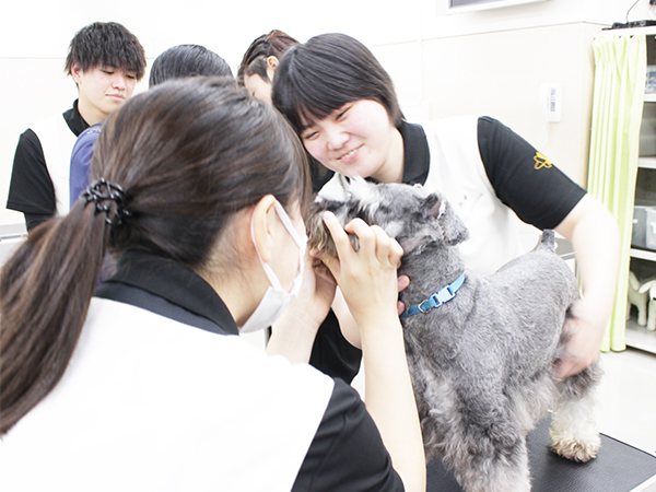 歯みがきしました☆
